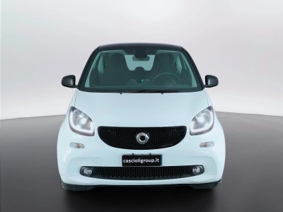 2 - smart fortwo Cascioli Group