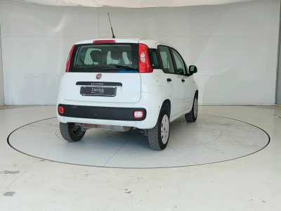 5 - Fiat Panda Cascioli Group