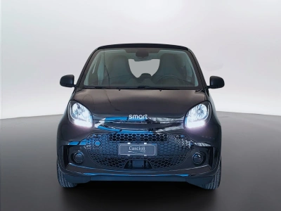 2 - smart fortwo Cascioli Group