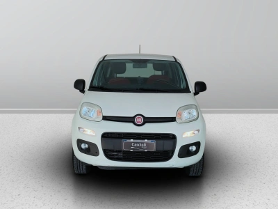 2 - Fiat Panda Cascioli Group