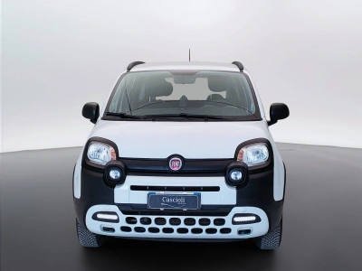2 - Fiat Panda Cascioli Group