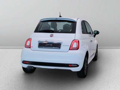 5 - Fiat 500 Cascioli Group