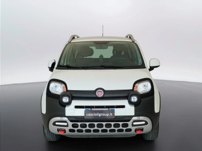 2 - Fiat Panda Cascioli Group