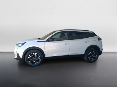 6 - Peugeot 2008 Cascioli Group