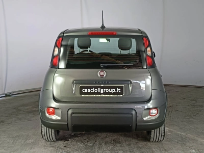 5 - Fiat Panda III 2021 Cascioli Group