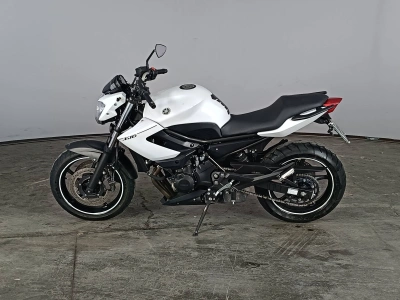 5 - Yamaha XJ Cascioli Group