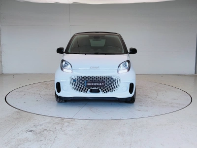 2 - smart fortwo Cascioli Group