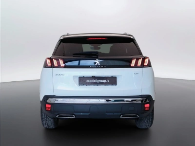 6 - Peugeot 3008 Cascioli Group