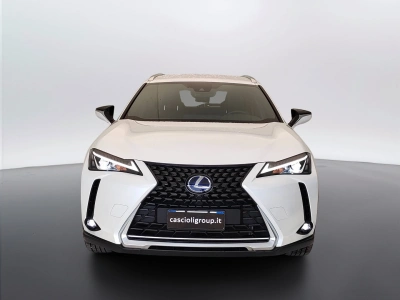 2 - Lexus UX Cascioli Group