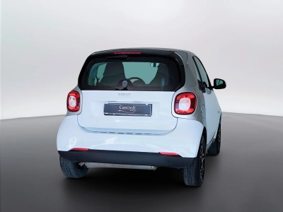 6 - smart fortwo Cascioli Group
