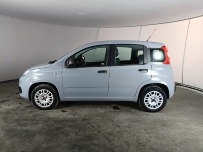 6 - Fiat Panda Cascioli Group