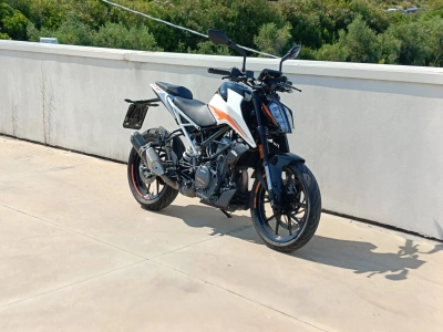 2 - Ktm Duke Cascioli Group