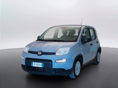1 - Fiat Panda Cascioli Group