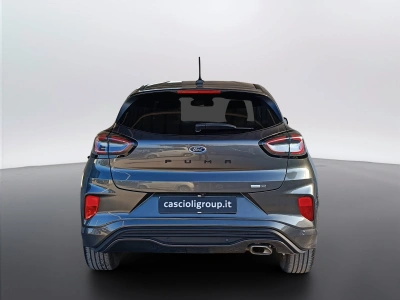 5 - Ford Puma Cascioli Group