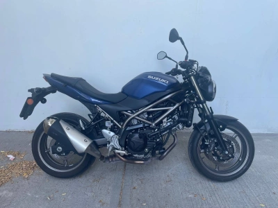 1 - Suzuki SV Cascioli Group