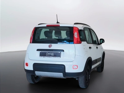 5 - Fiat Panda Cascioli Group