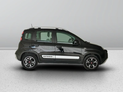 7 - Fiat Panda Cascioli Group