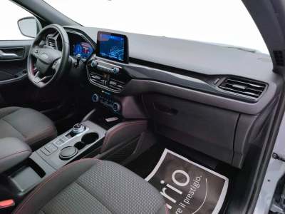 10 - Ford Kuga Cascioli Group