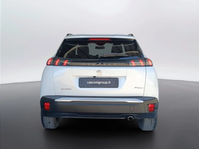 4 - Peugeot 2008 Cascioli Group