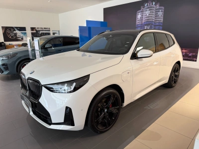 9 - BMW X3 Cascioli Group