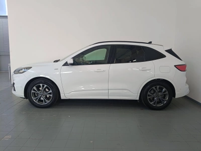 6 - Ford Kuga Cascioli Group