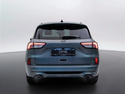 4 - Ford Kuga Cascioli Group