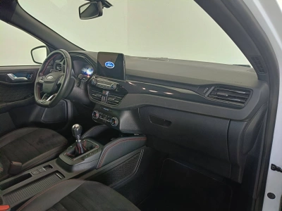 10 - Ford Kuga Cascioli Group