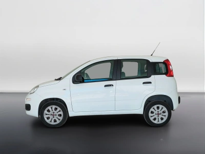 8 - Fiat Panda Cascioli Group