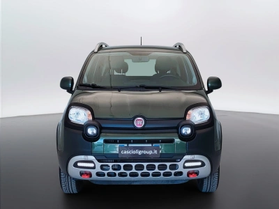 2 - Fiat Panda Cascioli Group