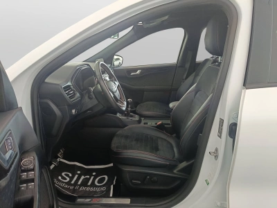 8 - Ford Kuga Cascioli Group