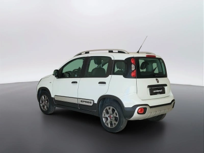 7 - Fiat Panda Cascioli Group