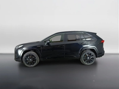 6 - Toyota RAV4 Cascioli Group