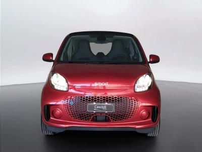 2 - smart fortwo Cascioli Group