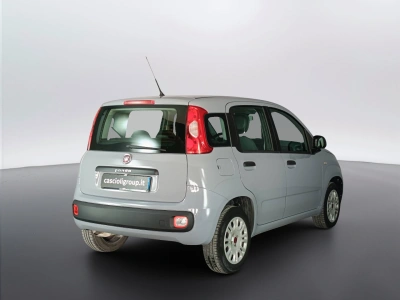 4 - Fiat Panda Cascioli Group