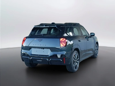 4 - MINI Aceman Cascioli Group