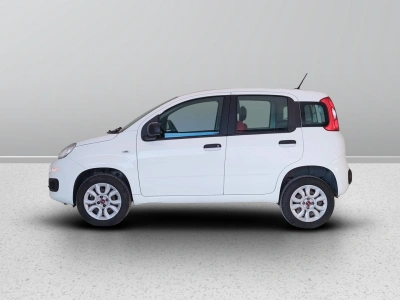 3 - Fiat Panda Cascioli Group