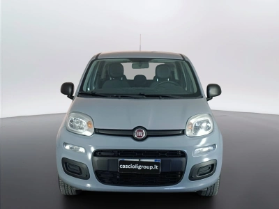 2 - Fiat Panda Cascioli Group