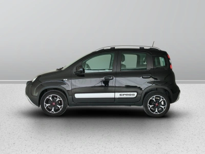 3 - Fiat Panda Cascioli Group
