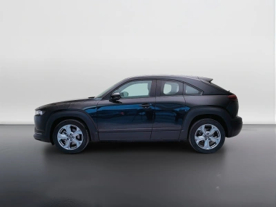 3 - Mazda MX Cascioli Group