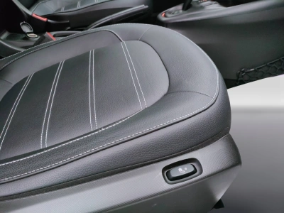 10 - smart fortwo Cascioli Group