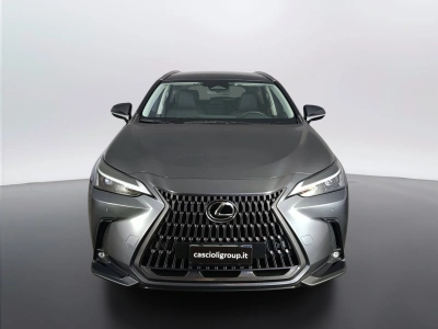 2 - Lexus NX Cascioli Group