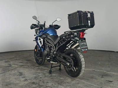 6 - Triumph Tiger Cascioli Group