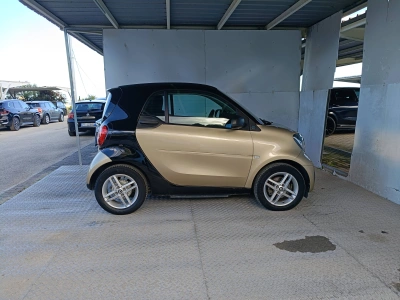 3 - smart fortwo Cascioli Group