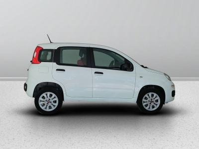 7 - Fiat Panda Cascioli Group