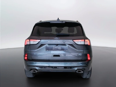 6 - Ford Kuga Cascioli Group