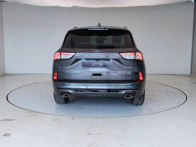 6 - Ford Kuga III 2020 Cascioli Group