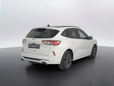 4 - Ford Kuga Cascioli Group