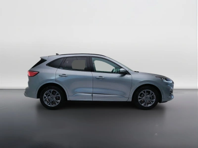 7 - Ford Kuga Cascioli Group