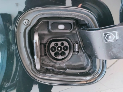 8 - smart fortwo Cascioli Group