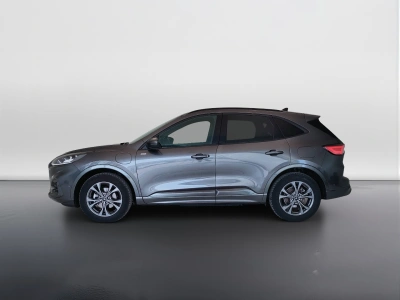 8 - Ford Kuga Cascioli Group